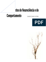 Fundamentos de Neurociencia e Do Comportamento