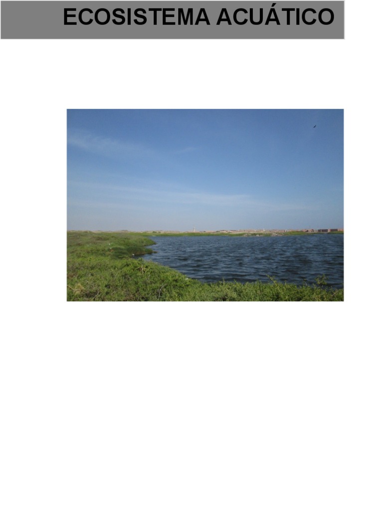 Ecosistemas de Agua Dulce | PDF | Ecosistema | Aves