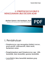 Streptococcus Grup D, Tutorial.