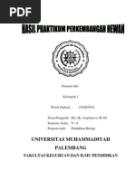 Download praktikum IKAN CUPANG by wiwik septiani SN31828169 doc pdf