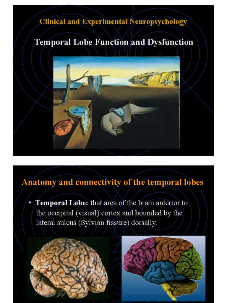 Temporal Lobe Function and Dysfunction | PDF