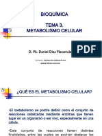 Metabolismo Celular