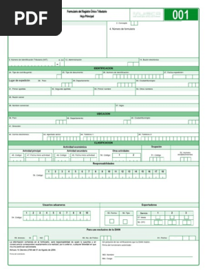 Formulario 001 rut para diligenciar