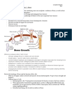 Bones Tutorial, Student Outline