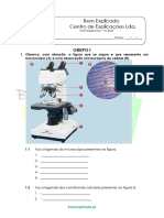 A Célula Unidade Na Constituição Dos Seres Vivos Teste Diagnóstico 1 PDF