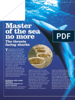 Sharkfin e PDF