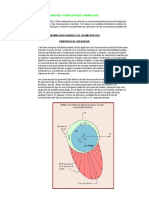 255822378-Analisis-y-Fabricacion-de-Chumaceras.docx