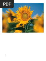 Download Perilaku Konsumen dan Produsen by Sulimah SN31831410 doc pdf