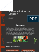 Aves Endémicas Del Ecuador