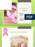 Cáncer de mama: factores de riesgo, síntomas, diagnóstico y tratamiento