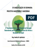 1°SeminárioFRE_ANEEL_CENBIO_Gaseificação_041209 (3).pdf