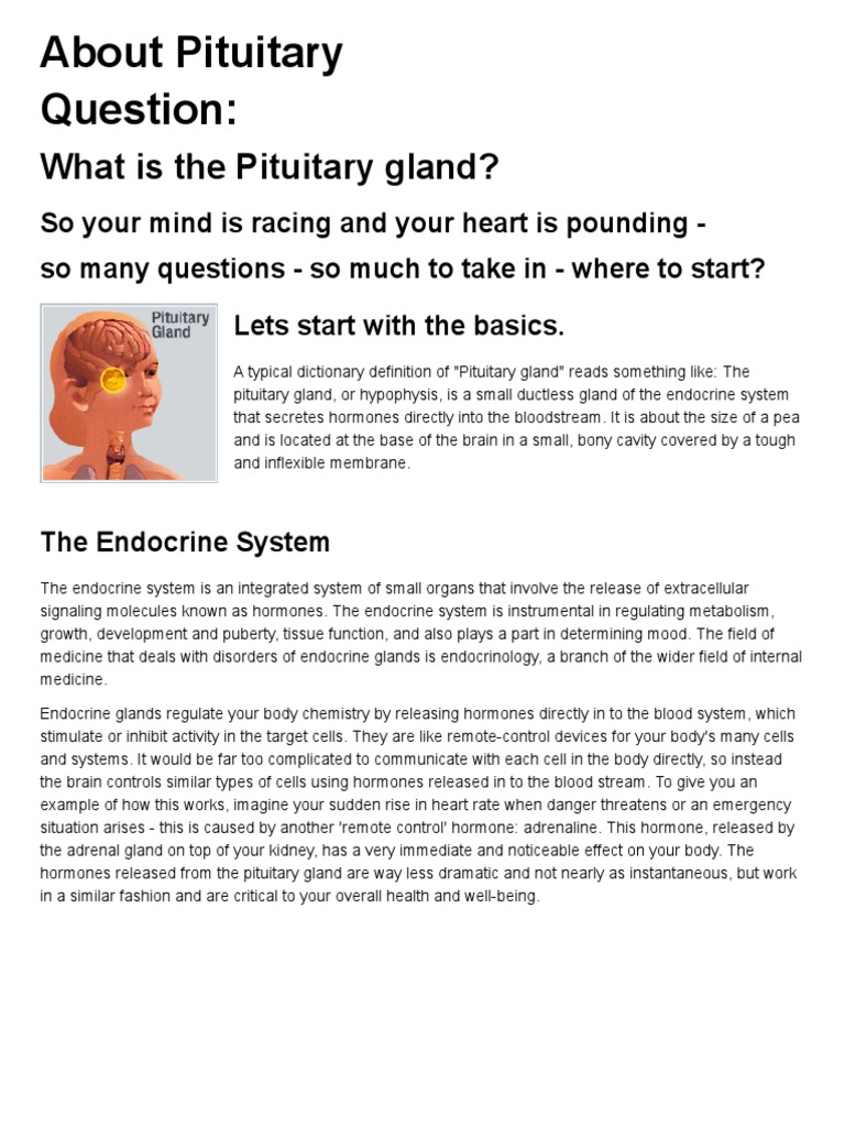 Understanding the Pituitary Gland | PDF | Endocrine System | Adrenal Gland