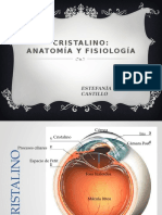 Anatomía Del Cristalno
