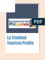 La Trinidad Tourism Profile