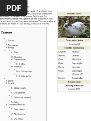 Domestic Rabbits
