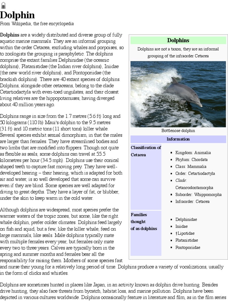 Dolphin Encyclopedia | PDF | Dolphin | Cetacea