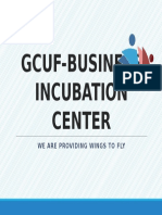 Gcuf-Business Incubation Center: We Are Providing Wings To Fly