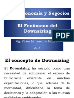 19_-Downsizing.pdf