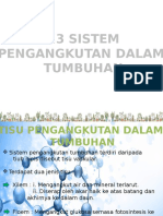 2.3 Sistem Pengangkutan Dalam Tumbuhan