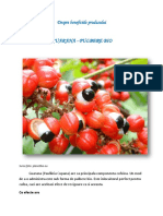 Prezentare Guarana Pulbere Bio Eco