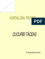 Hortalizas de frutos - Cucurbitaceas