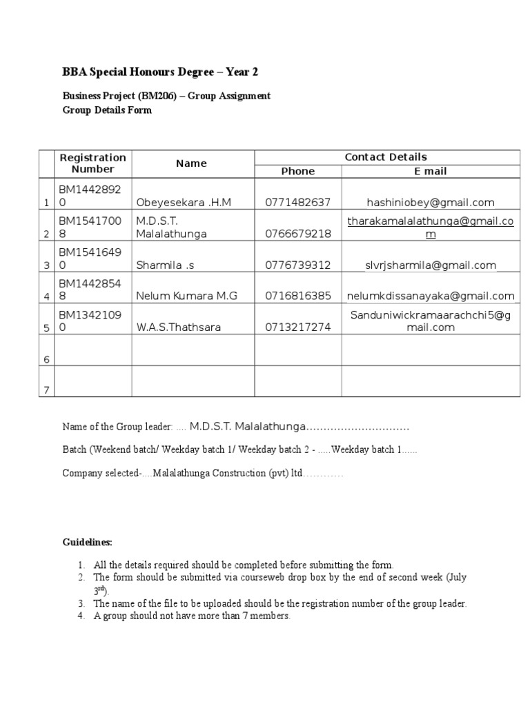 BBA Year 2 Group Project Registration Form | PDF