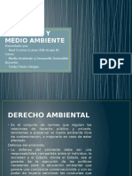 Derecho Ambiental y Medio Ambiente