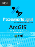 Apostila_Basica_de_Cartografia_ArcGIS102.pdf