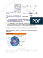 Clasificacion de Los Virus