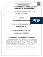 COMUNIDADES_VIRTUALES.docx