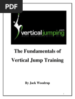 Vertical Jump Fundamentals