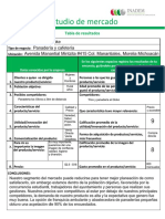 Actividad-Estudio-de-Mercado-Módulo-2 (1).pdf
