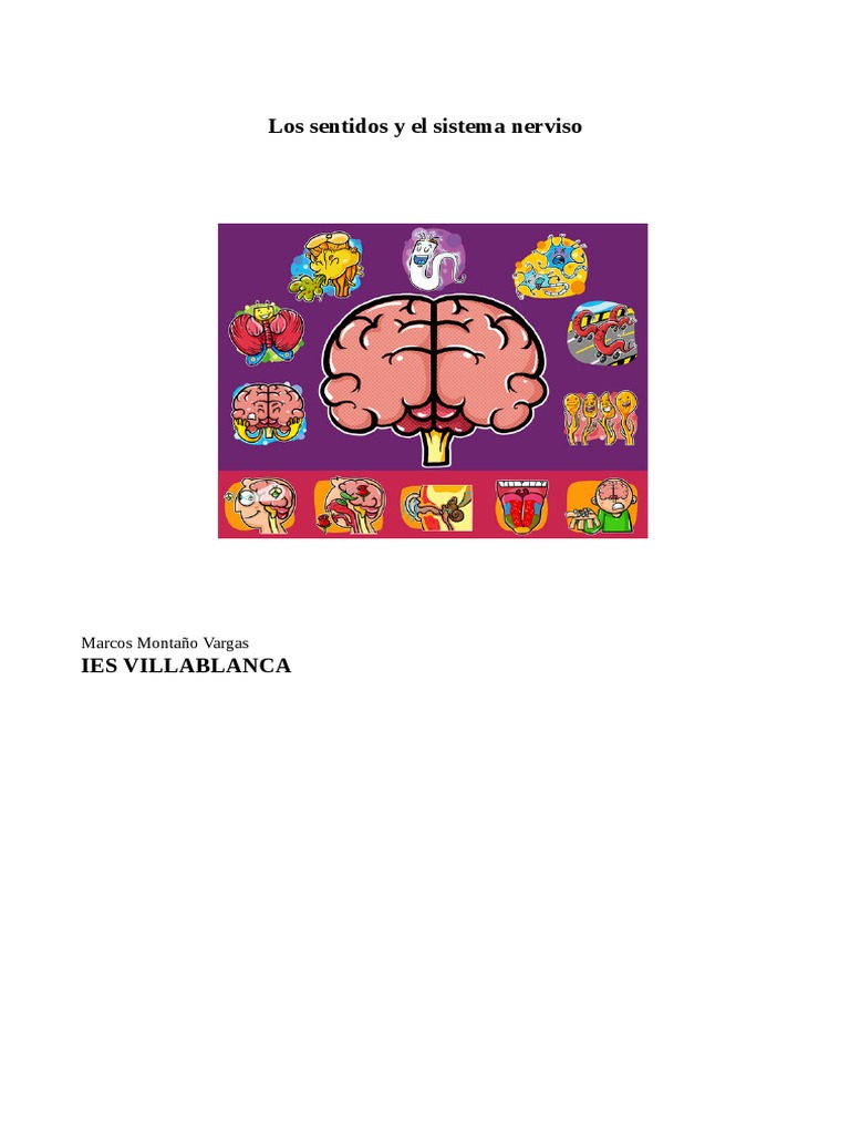 Los Sentidos y El Sistema Nervioso | PDF | Ojo | Sistema nervioso