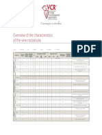 Overview of The Characteristics of The Vine Rootstocks