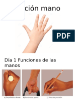 Lección Mano