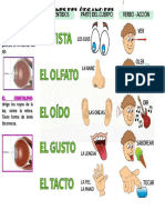 los 5 sentidos.docx