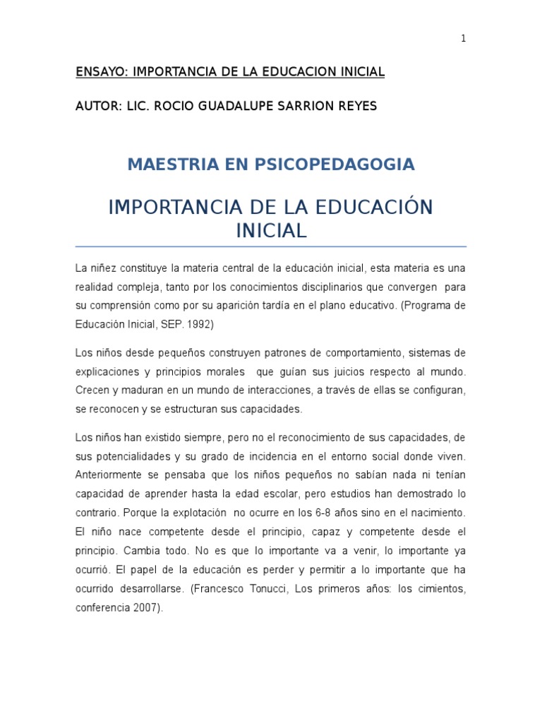 Ensayo Educacion Inicial Jardín de infancia Educación