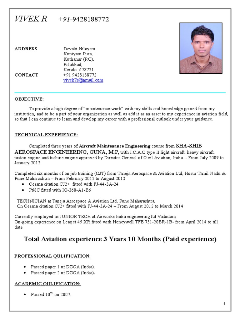 Cfi pilot resume picture