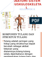 Anatomi Sistem Muskuloskeletal