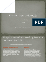 Sinapsa i sinapti-ìka transmisija.pdf