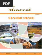Informe Mineral Co 2007