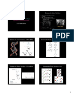 dna_rna