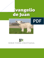 14_El Evangelio de Juan.pdf