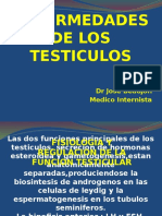 ENFERMEDADES DE LOS TESTICULOS nuevo.pptx