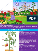 Power Point .Las Plantas