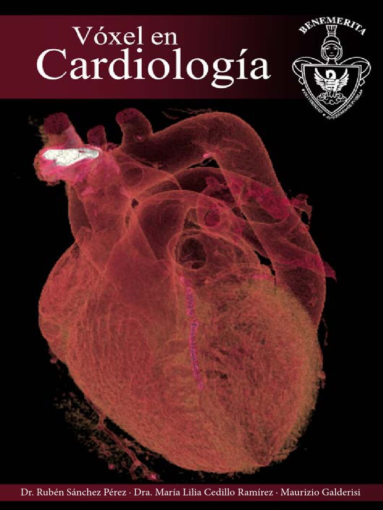 Voxel en Cardiologia | PDF | Diástole | Corazón