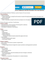 Neural Integration: An Overview of Sensory Pathways and the Somatic Nervous System