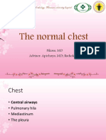 Normal Chest