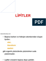 Lipitler, Yağ Asitleri, Trigliseritler, Keton Cisimleri, Fosfolipitler, Sfingolipidozlar, Kolesterol, Lipitlerin Taşınması (Biyokimya-Yestus)