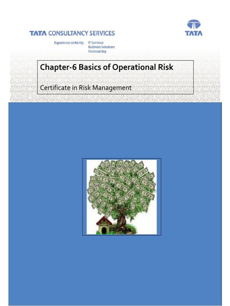 Operational Risk | PDF | Operational Risk | Risk Management